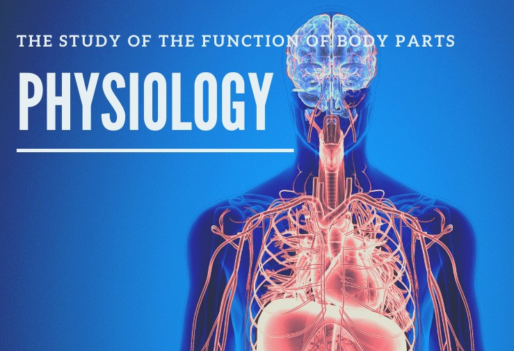 Department of Physiology